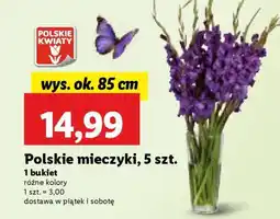 Lidl Polskie mieczyki, 5 szt oferta