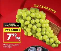 Biedronka Winogrona jasne oferta