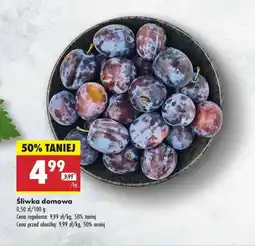 Biedronka Śliwki domowe oferta