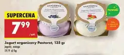 Biedronka Jogurt naturalny o smaku mango Pastoret oferta