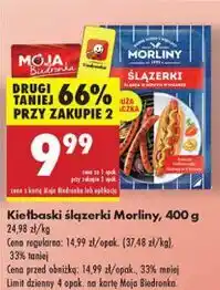 Biedronka Ślązerki Morliny oferta
