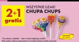 Biedronka Lizak flavour playlist zielony Chupa Chups Xxl oferta