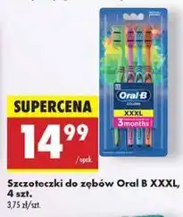 Biedronka Szczoteczki do zębów medium Oral-B Colors oferta