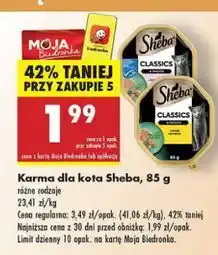 Biedronka Karma dla kota z tuńczykiem Sheba Classics oferta