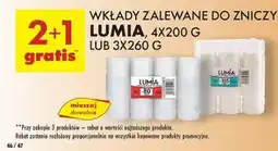 Biedronka Wkład zalewany 105 Lumia oferta