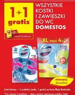 Biedronka Kostka do wc lime Domestos Power5 oferta