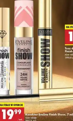 Biedronka Korektor wodoodporny Eveline Finish Show oferta