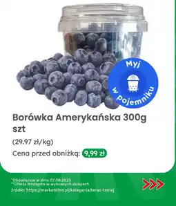 Dino Borówka amerykańska 300g Dino oferta