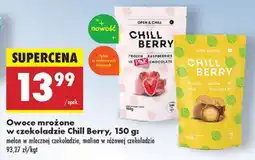 Biedronka Owoce mrożone: melon w mlecznej czekoladzie Chill Berry oferta