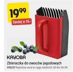 Jula Zbierak do owoców Kayoba oferta