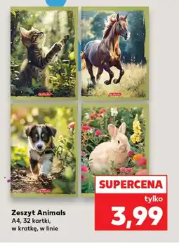 Kaufland Zeszyt Animals oferta