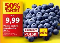 Lidl Borówki amerykańskie oferta