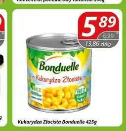 Społem Kukurydza Bonduelle oferta