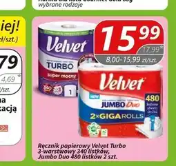 Społem Ręcznik papierowy Velvet oferta