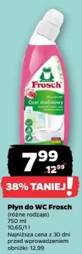Netto Płyn do WC Frosch oferta