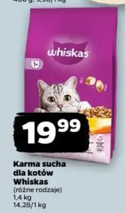 Netto Karma sucha dla kotów Whiskas oferta