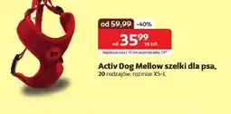 Kakadu Szelki dla psa Active dog oferta