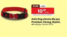 Kakadu Obroża dla psa Active dog oferta