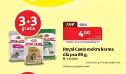 Kakadu Karma dla psa Royal Canin oferta