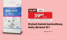 Kakadu Żwirek bentonitowy Brylant oferta