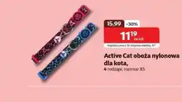 Kakadu Obroża dla kota Active Cat oferta