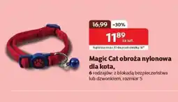 Kakadu Obroża dla kota Magic cat oferta