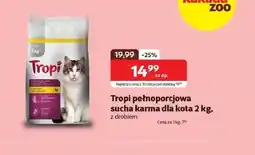 Kakadu Karma dla kota Tropi oferta
