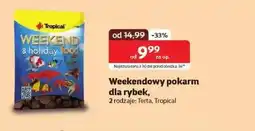 Kakadu Karma dla rybek Tropical oferta