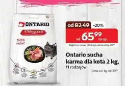Kakadu Karma dla kota Ontario oferta