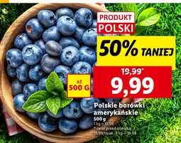 Lidl Borówki amerykańskie 1 opak. Lidl oferta