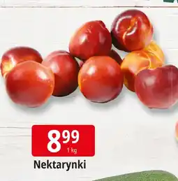 E.Leclerc Nektarynki Leclerc oferta