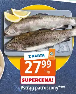 E.Leclerc Pstrąg patroszony Leclerc oferta