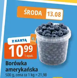 E.Leclerc Borówka amerykańska Leclerc oferta