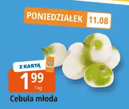 E.Leclerc Cebula młoda Leclerc oferta