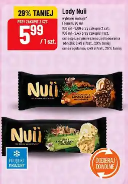 Polomarket Lody Nuii różne rodzaje Froneri oferta