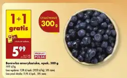 Biedronka Borówka amerykańska Biedronka oferta