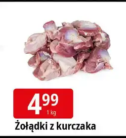 E.Leclerc Żołądki z kurczaka oferta