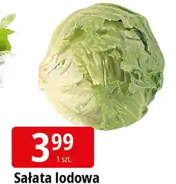 E.Leclerc Sałata lodowa oferta