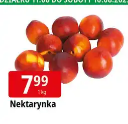 E.Leclerc Nektarynki oferta
