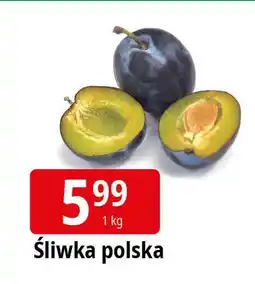 E.Leclerc Śliwka polska oferta
