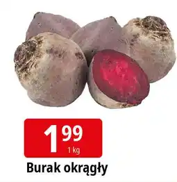 E.Leclerc Buraki oferta