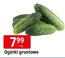 E.Leclerc Ogórek gruntowy oferta