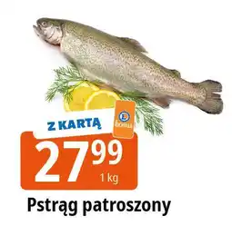 E.Leclerc Pstrąg świeży patroszony oferta
