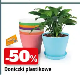 E.Leclerc Doniczka plastikowa oferta
