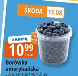 E.Leclerc Borówka amerykańska oferta