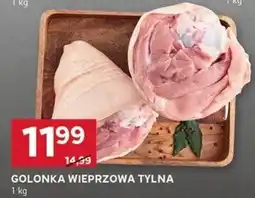 Stokrotka Optima GOLONKA WIEPRZOWA TYLNA oferta