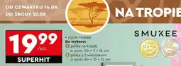 Biedronka SMUKEE oferta