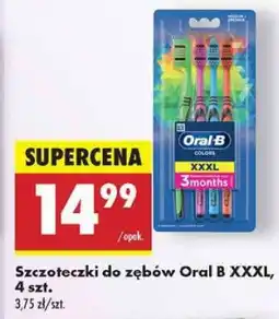 Biedronka Szczoteczki do zębów Oral B XXXL, 4 szt oferta