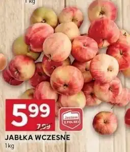 Stokrotka Optima JABŁKA WCZESNE oferta