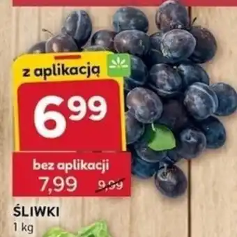 Stokrotka Optima ŚLIWKI oferta